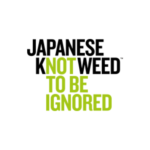 Knotweed Do’s & Don’ts for Homeowners